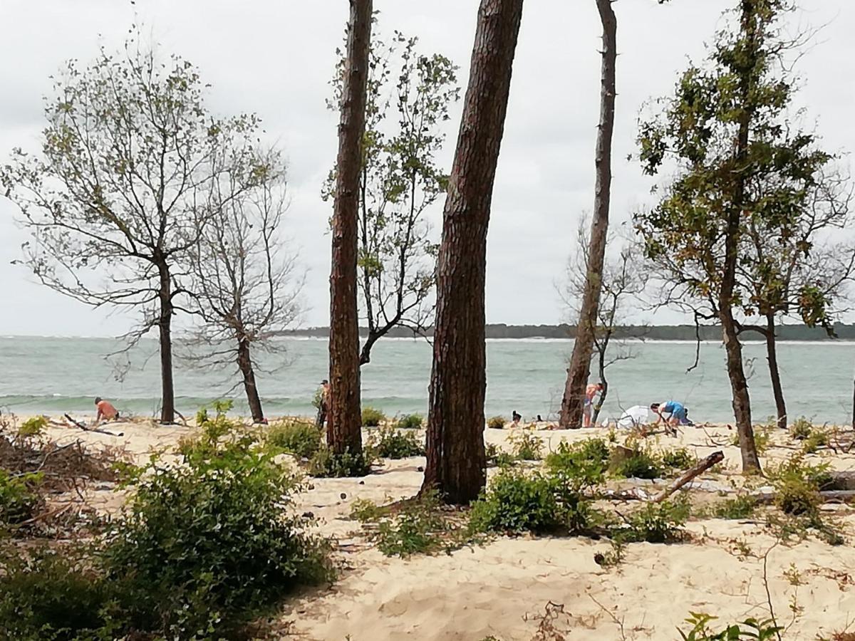 Hébergement de vacances Maison Les Bains Ronce-les-Bains